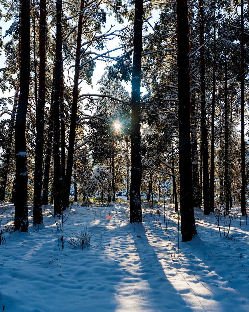 Photograph by Александр Панченко