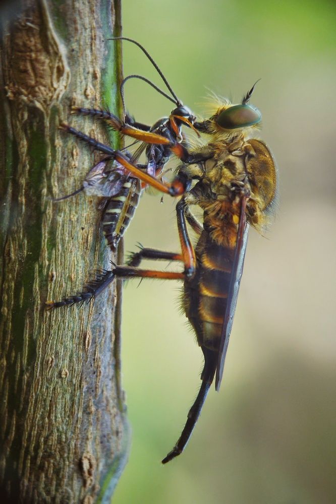 Photograph by Andrianto