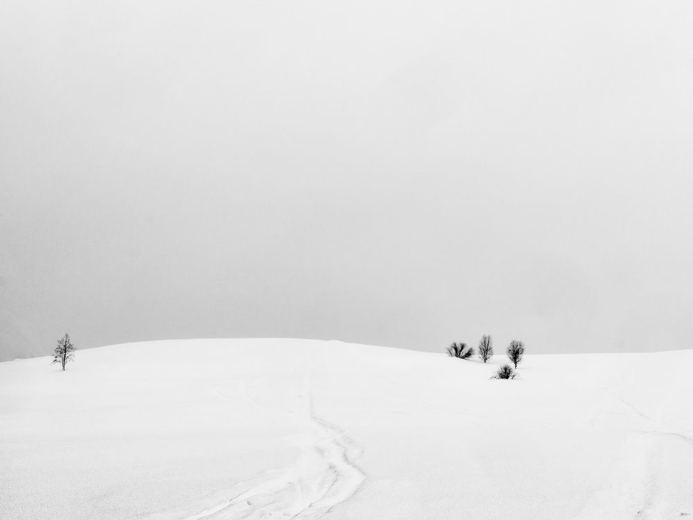 Photograph by Aljona Dyachenko