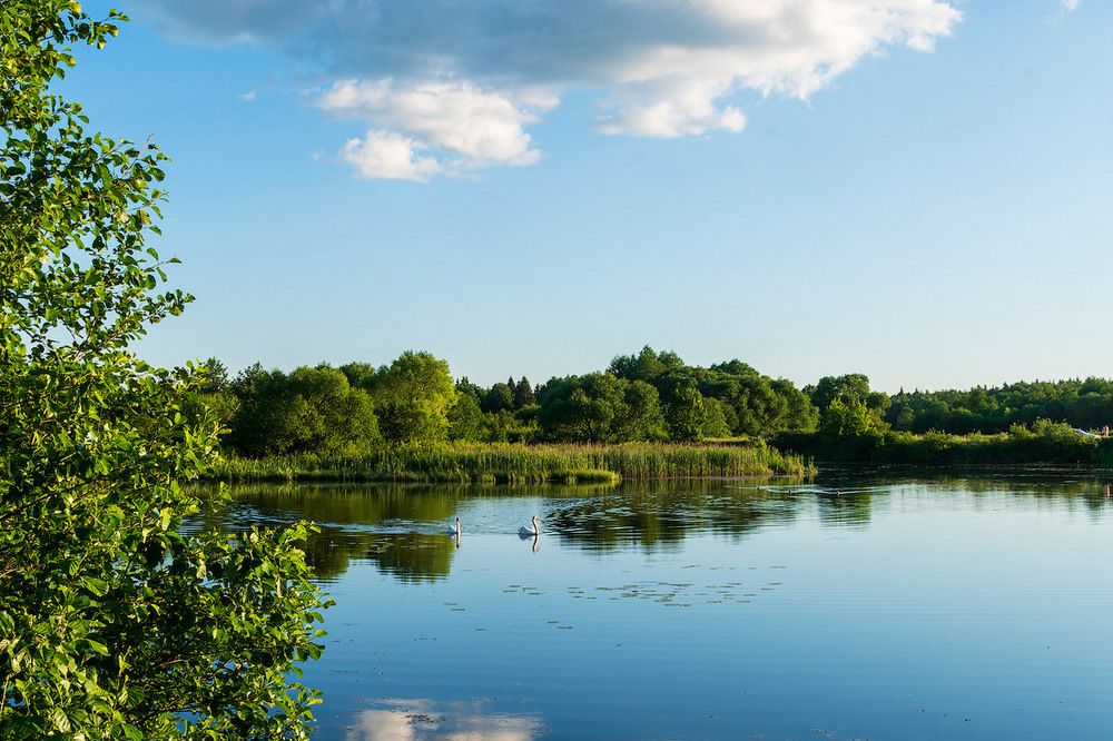 Photograph by Александр Панченко