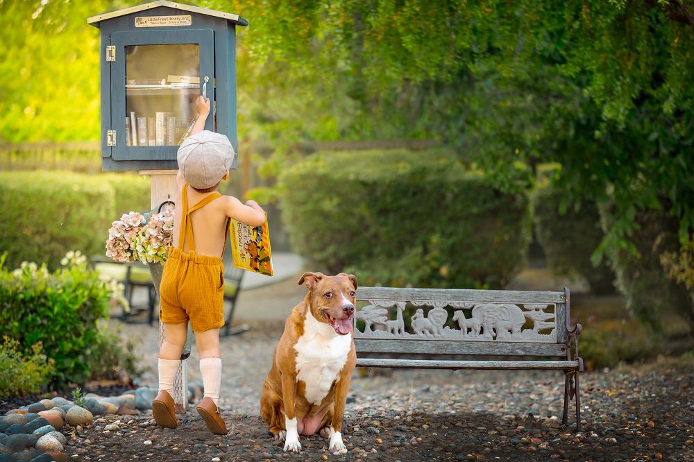 Up for new adventure