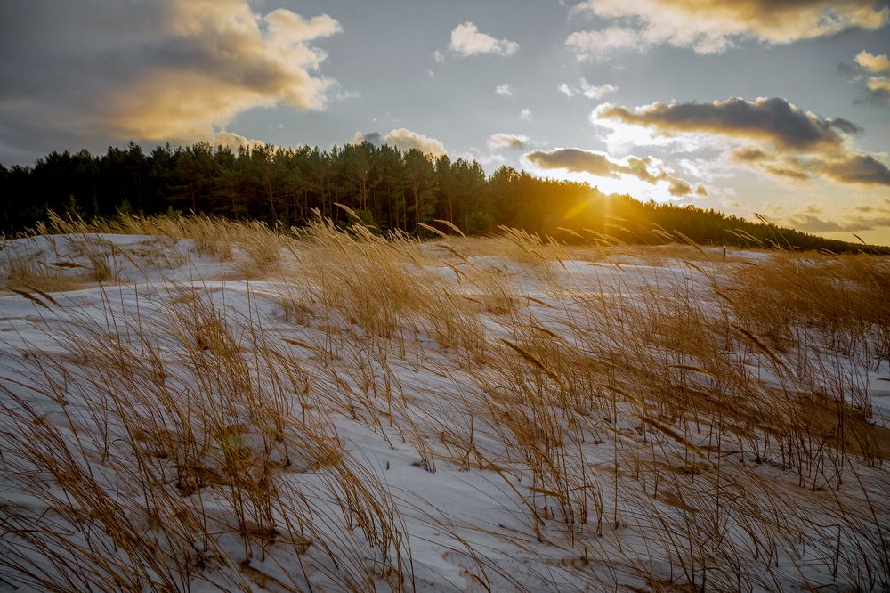 Photograph by Janetta Sereda