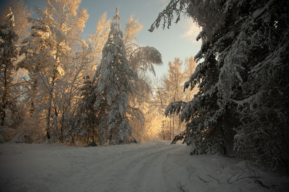 Photograph by Janetta Sereda