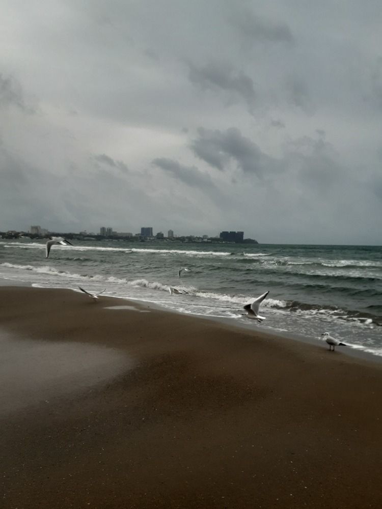 Анапа,Черное море