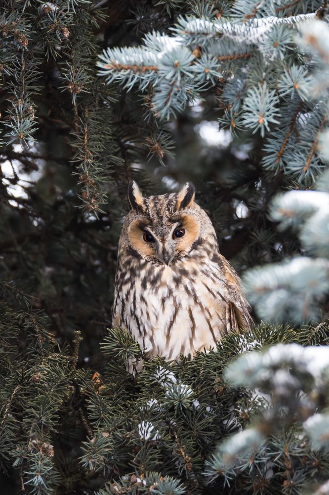 Photograph by Илья Юфа