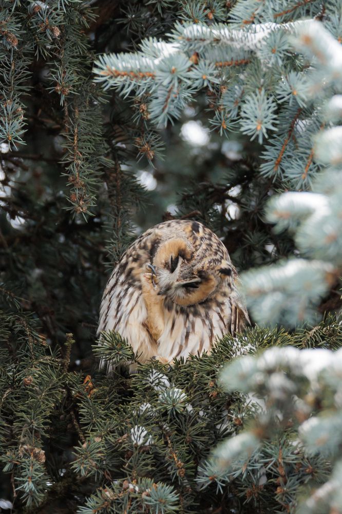 Photograph by Илья Юфа