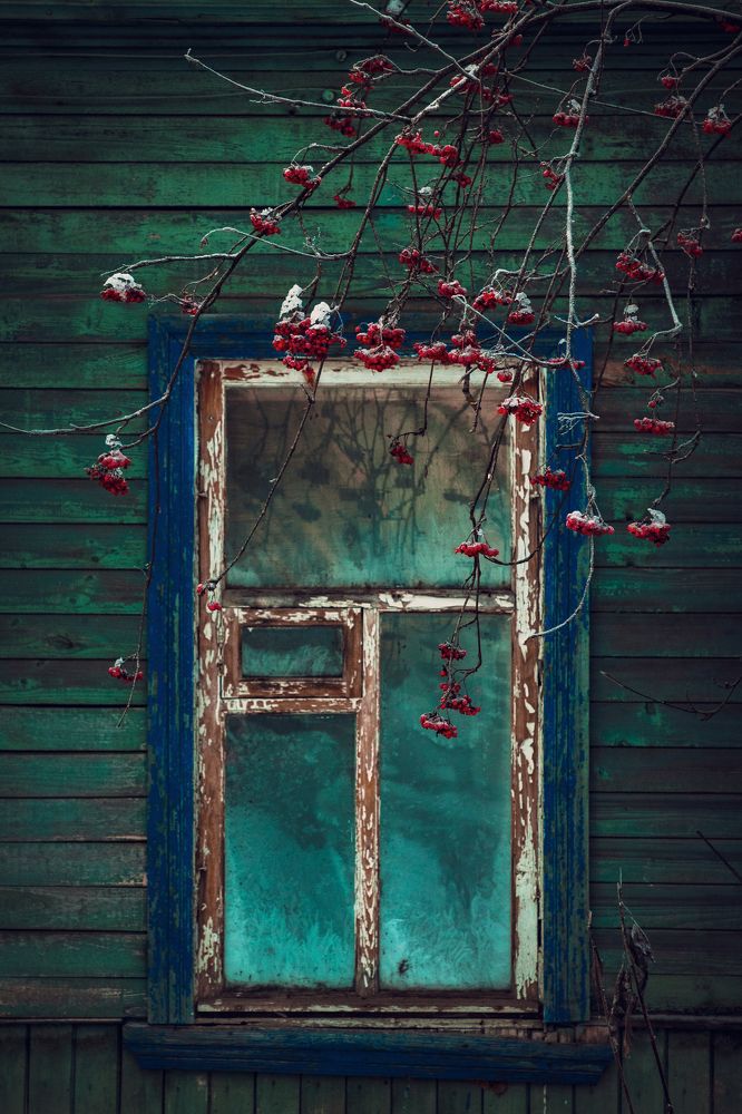 Photograph by Ангелина Карелина