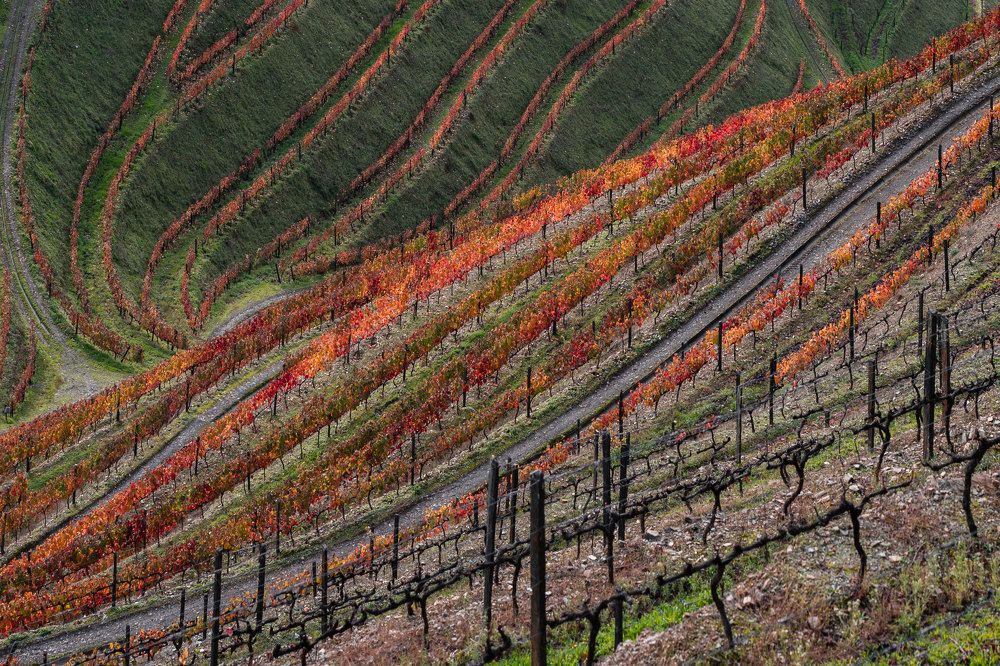 Douro lines