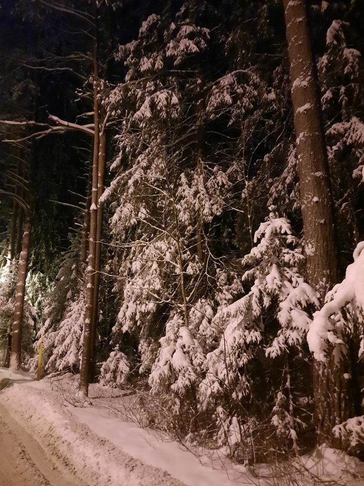 Photograph by Игорь