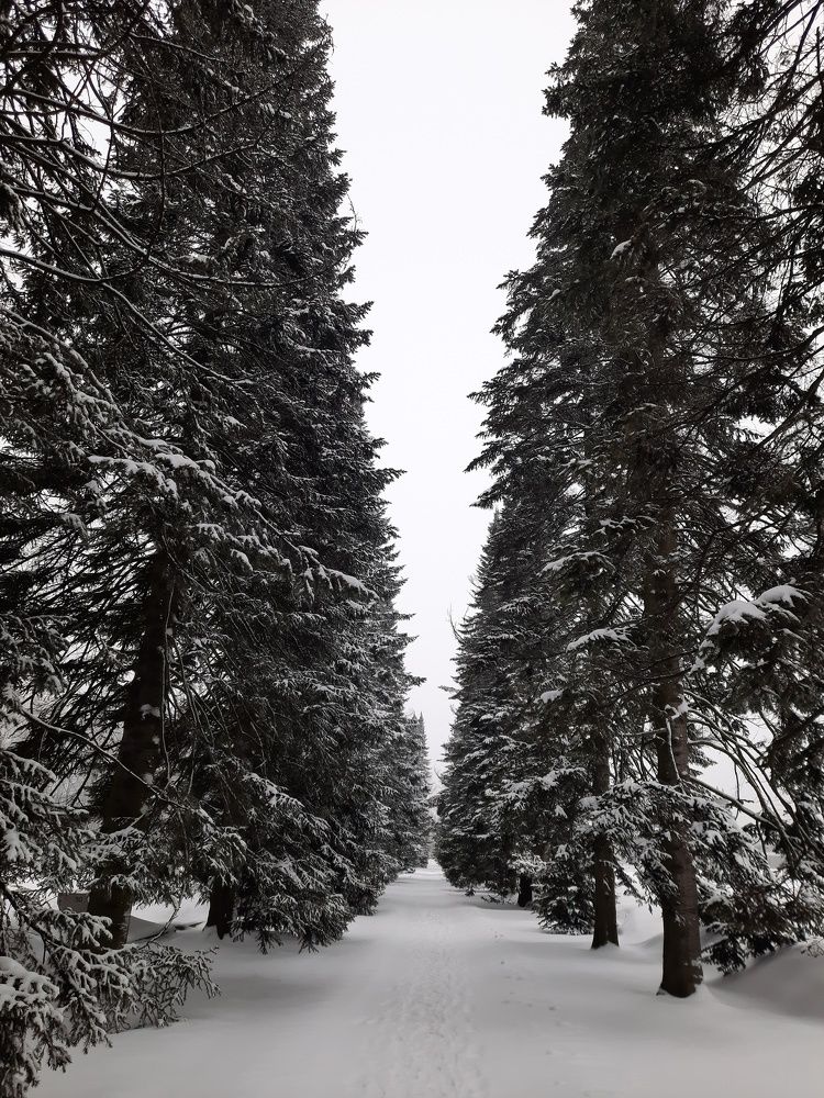 Photograph by Игорь