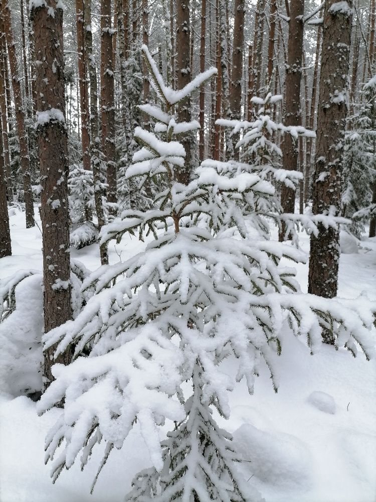 Photograph by Анна Ваванова