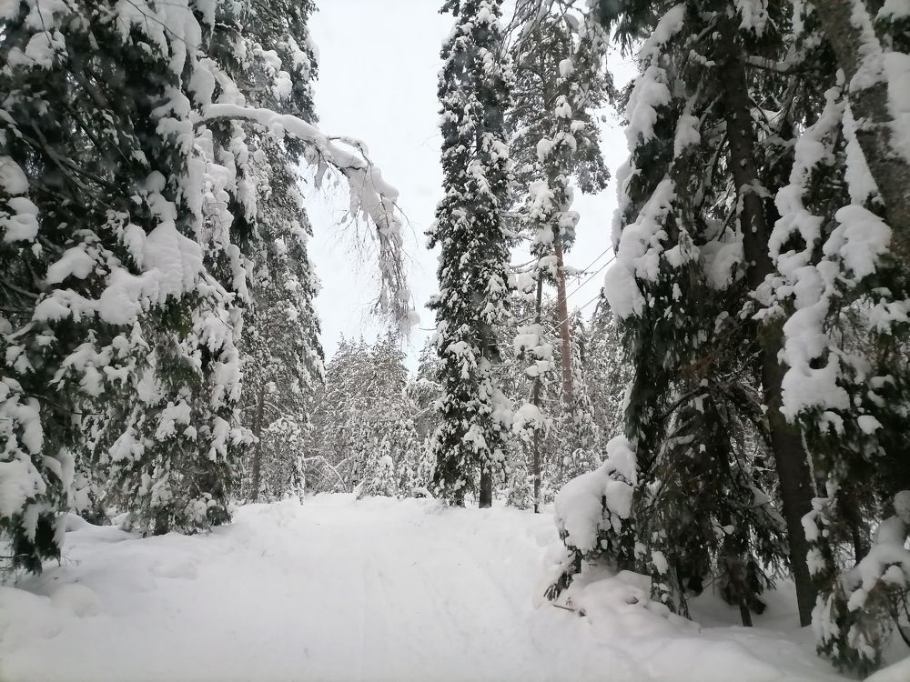 Photograph by Анна Ваванова
