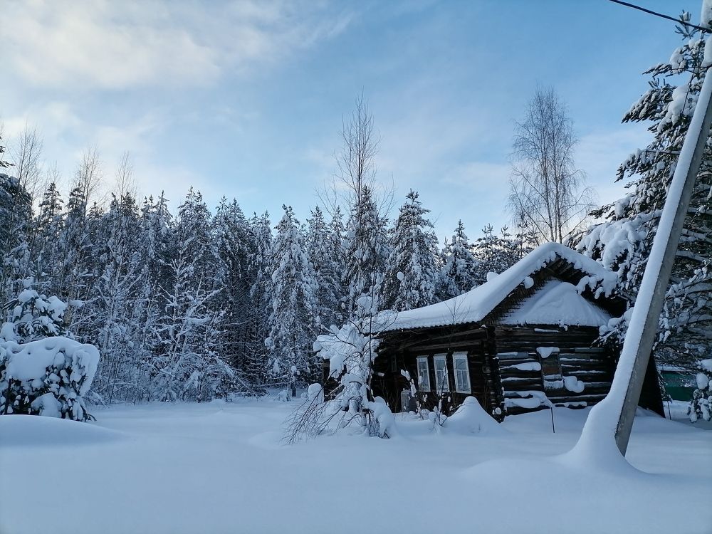 Photo #8503294