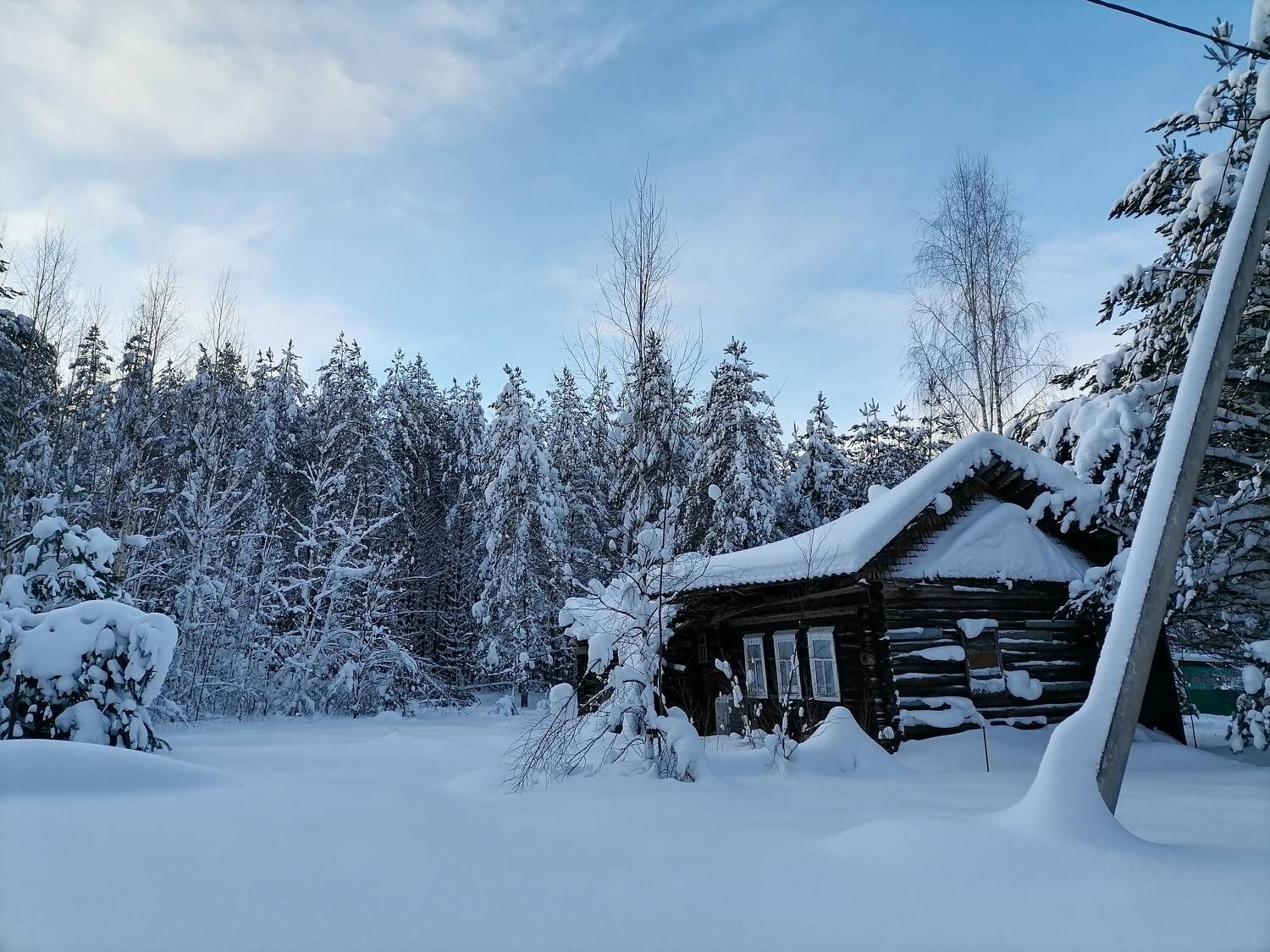 Photo #8503294