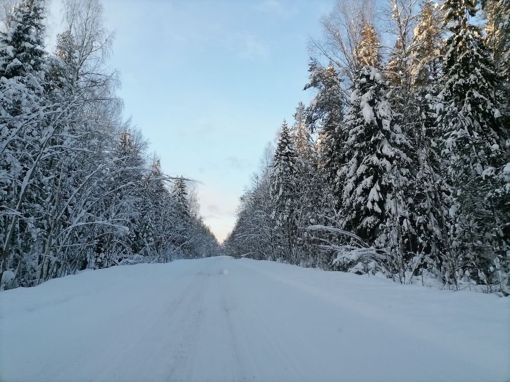 Photograph by Анна Ваванова