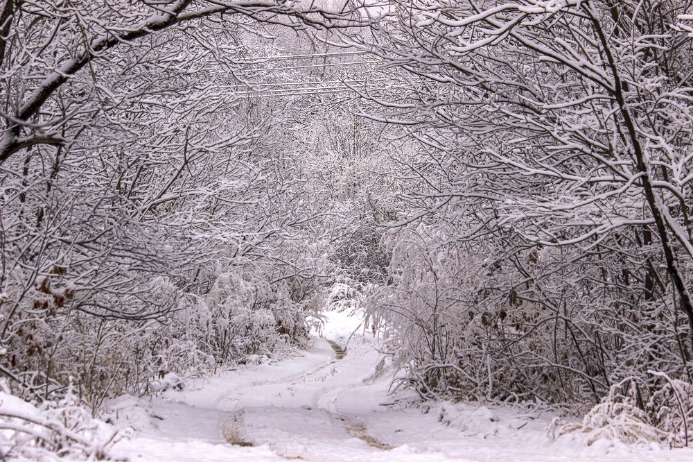 Photograph by Sergey Tsubanov