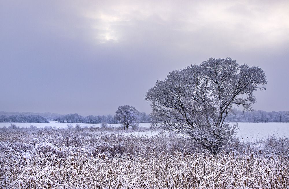 Photograph by Sergey Tsubanov
