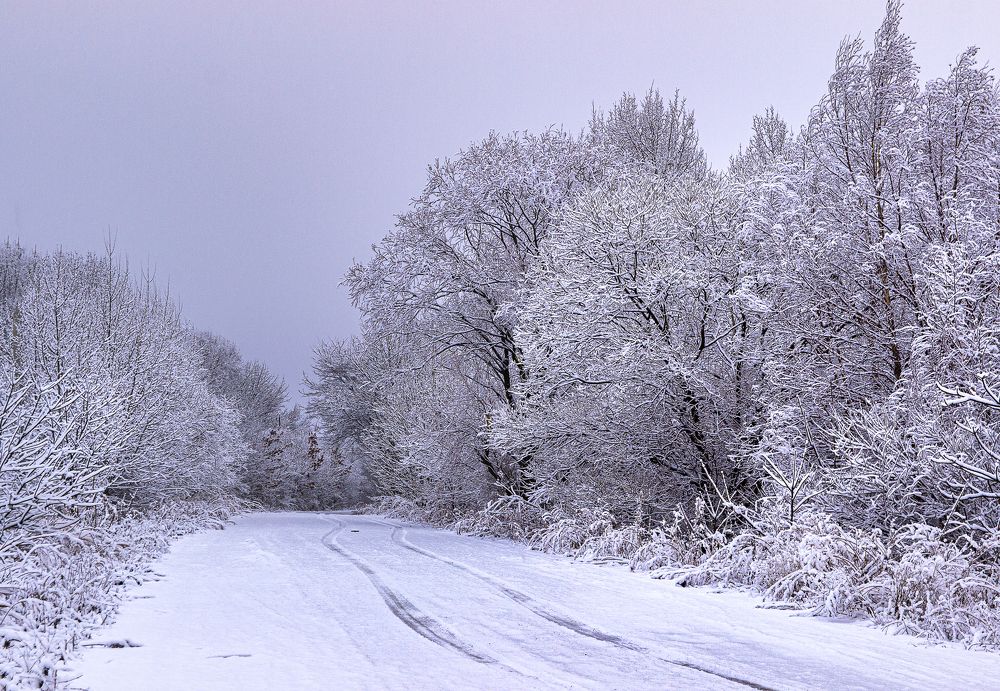 Photograph by Sergey Tsubanov