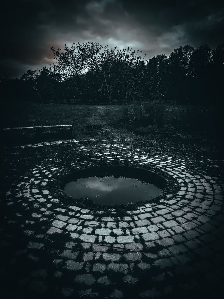 Photograph by Антон