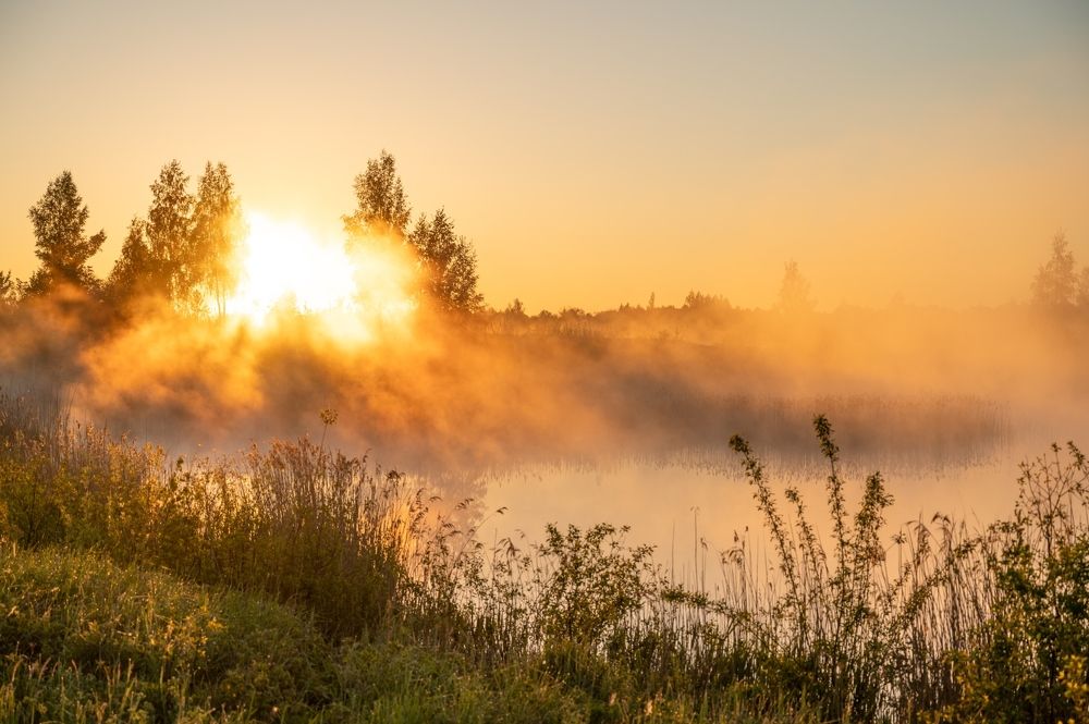 Photograph by Roman Dmitriev