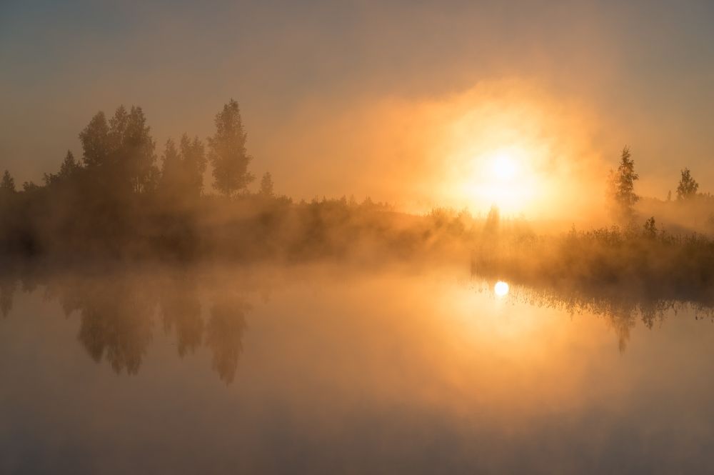 Photograph by Roman Dmitriev