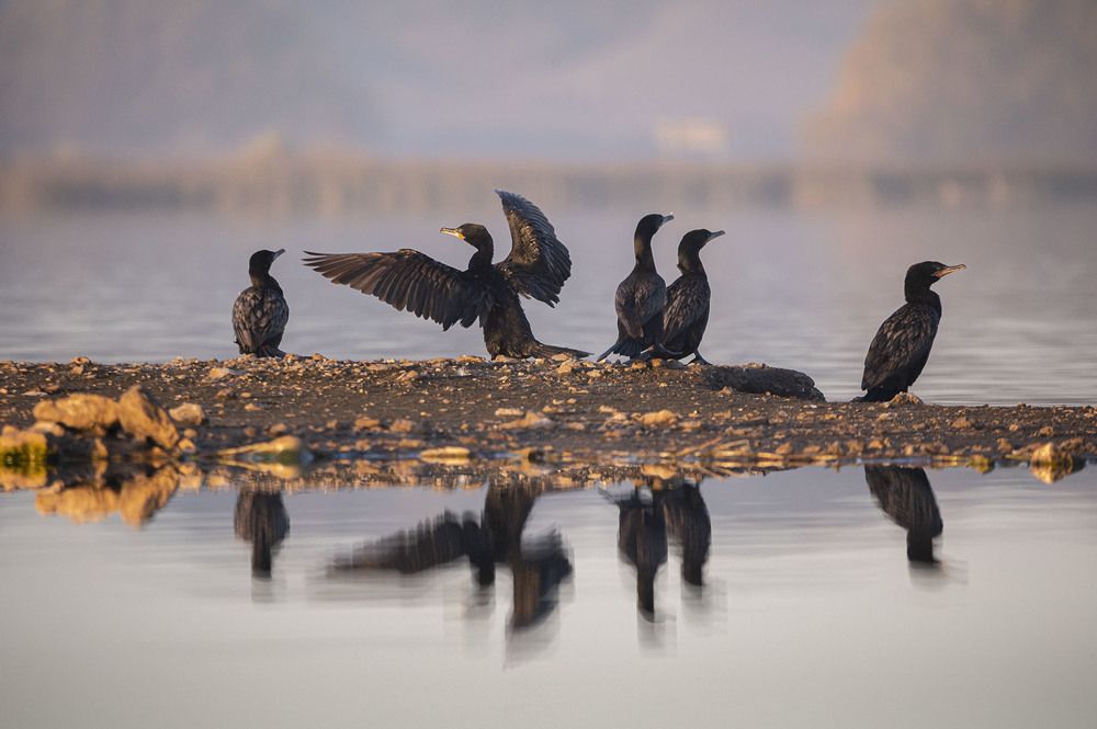 Photograph by Lucia Ana Juárez