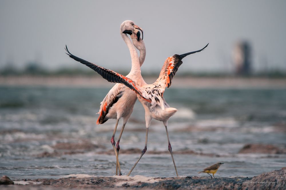 Photograph by Lucia Ana Juárez