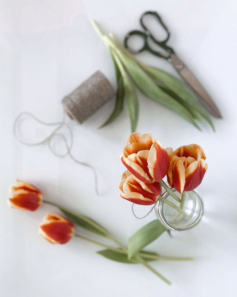 Photograph by Захарова Елена