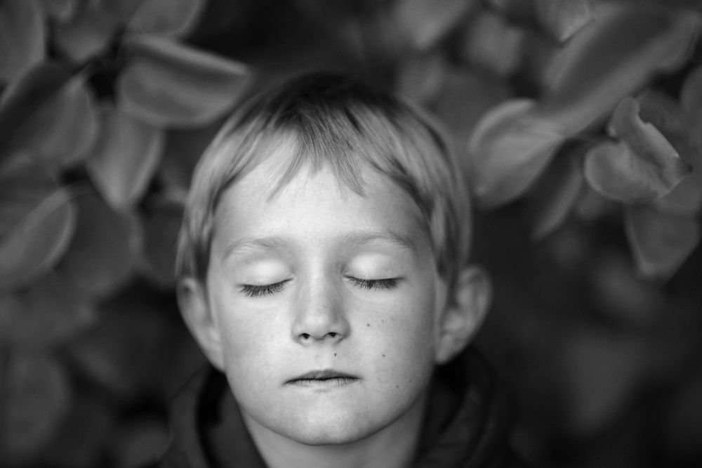 Фотография автора Сафонова Людмила