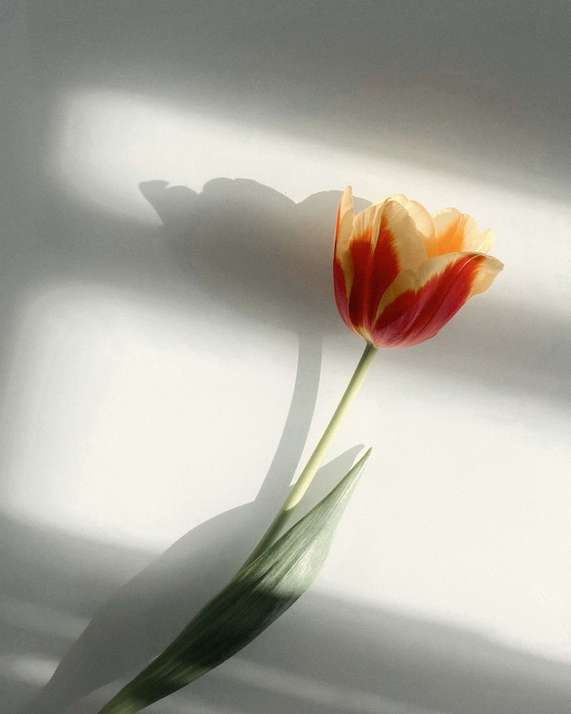 Photograph by Захарова Елена