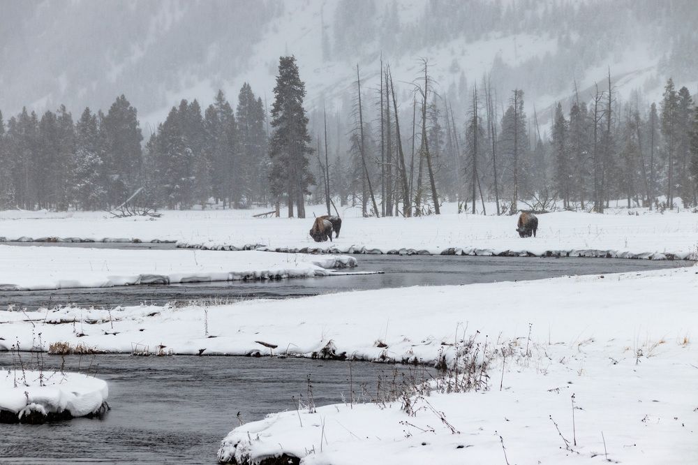 Photograph by Анатолий Костерев