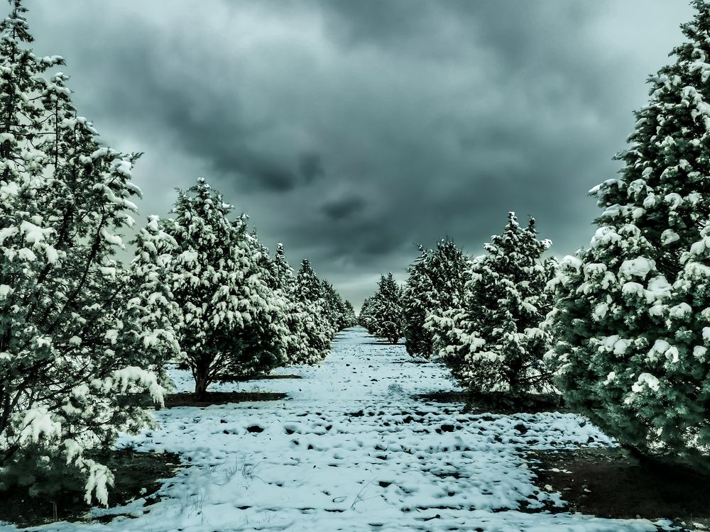 Фотография автора Mohamad reza Mohamad abadi