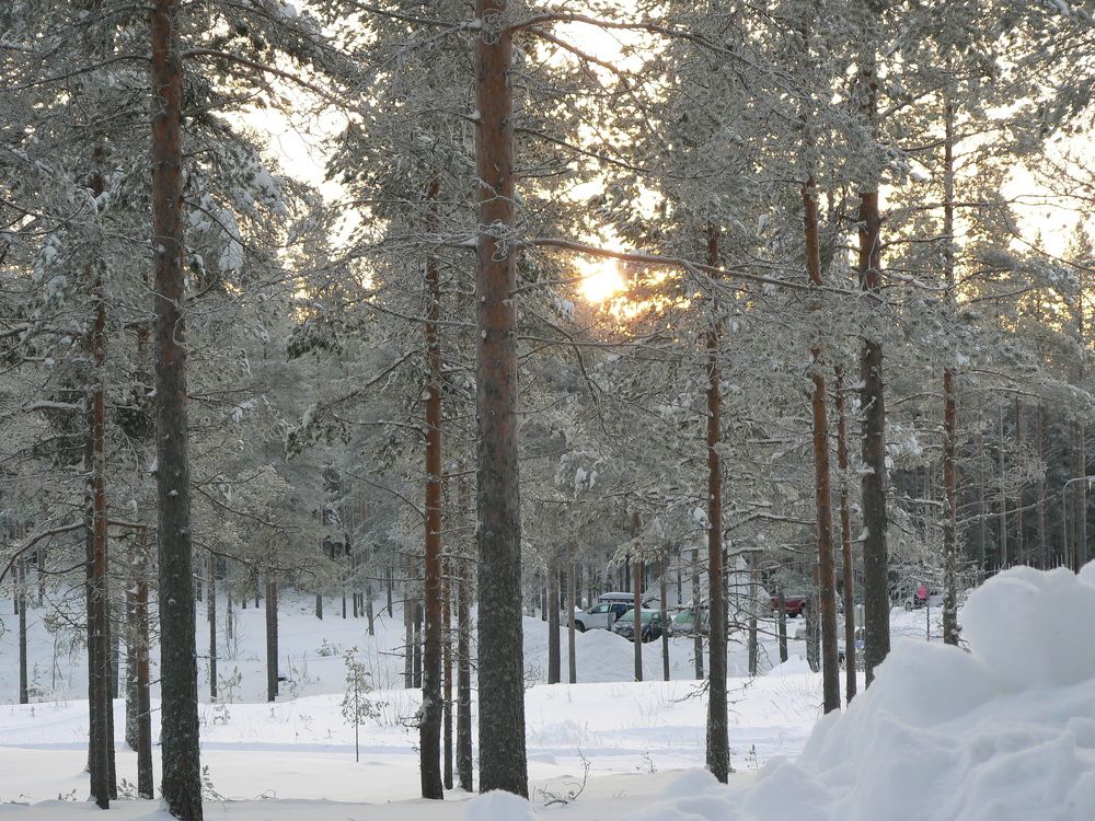 Photo #8503475
