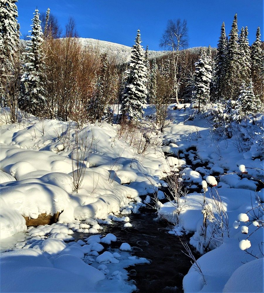 Photograph by Наталья Глек