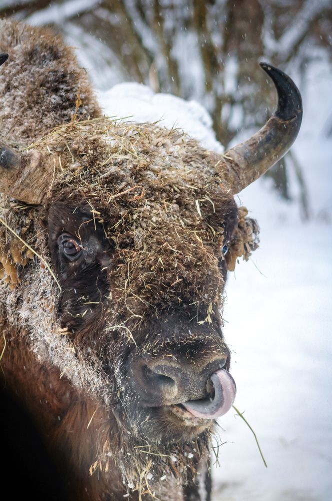 Photograph by Светлана Солдатченкова