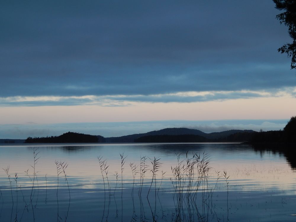 Photograph by Карина Заводчикова