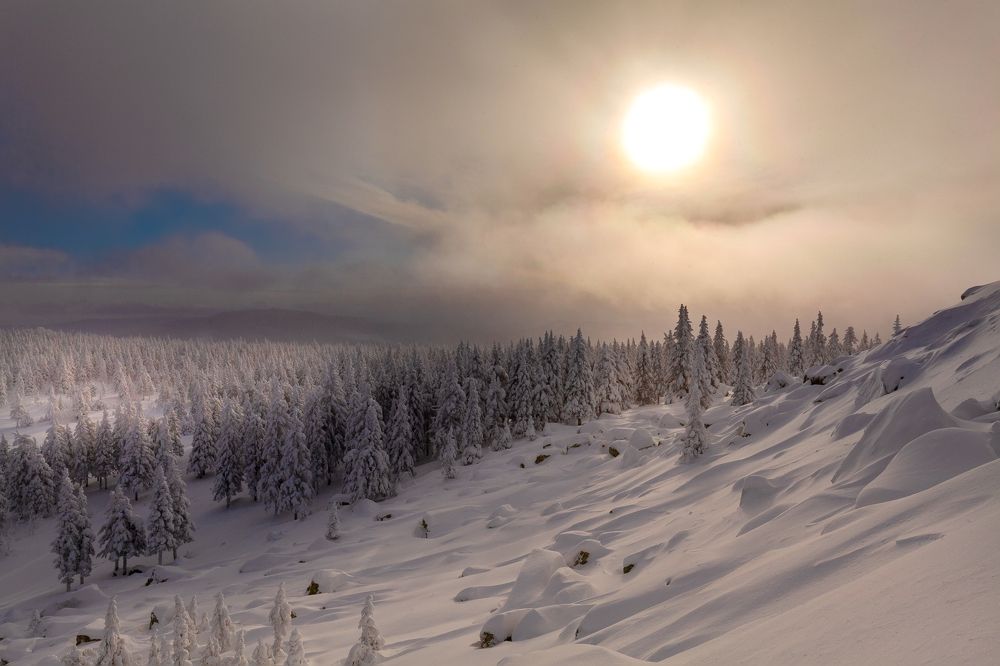 Photograph by Сергей Евдокимов