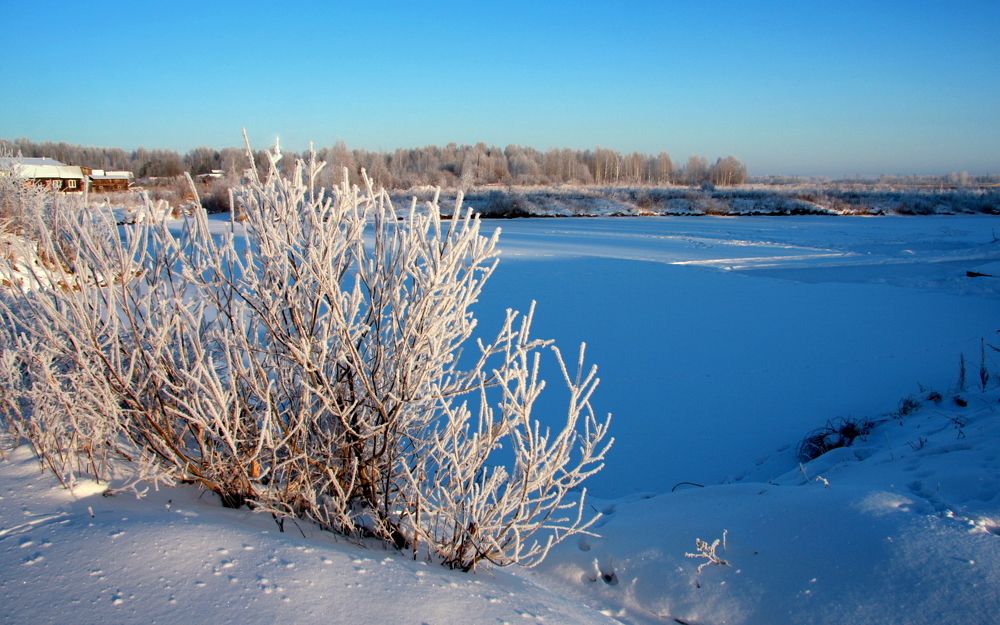 Фотография автора Nelya  Lysenko