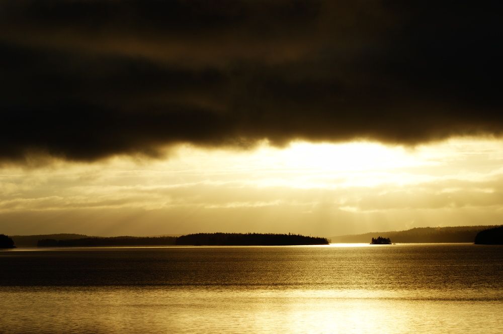 Photograph by Карина Заводчикова