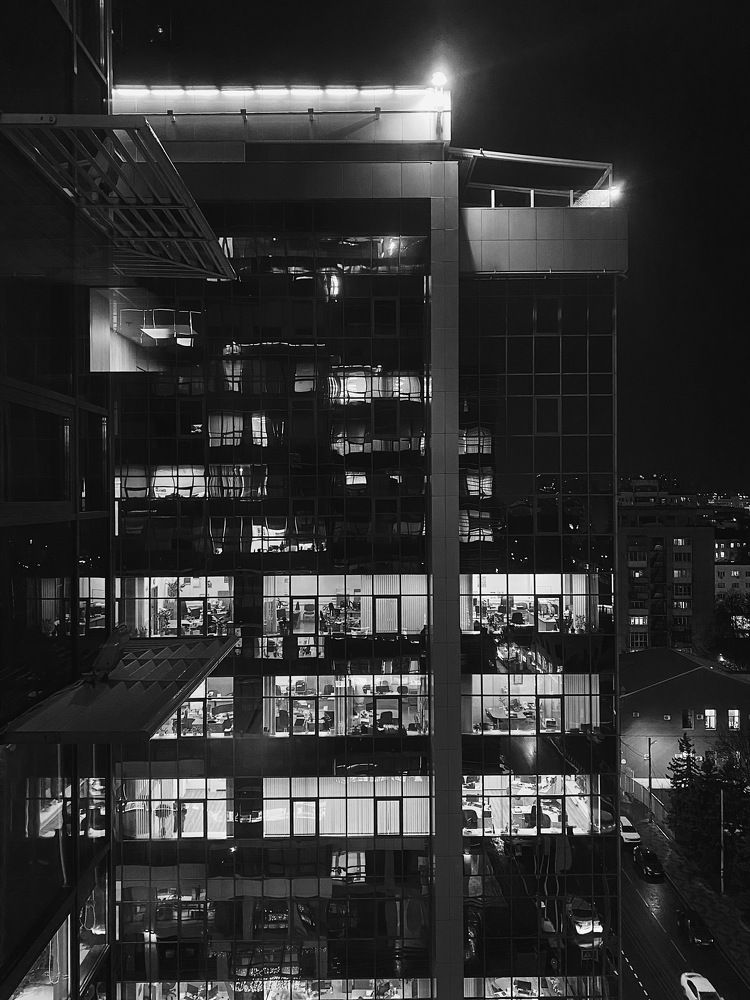 Муравейник