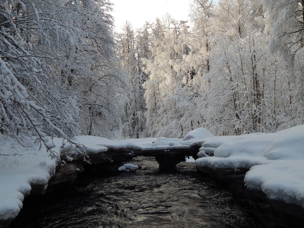 Photograph by Карина Заводчикова