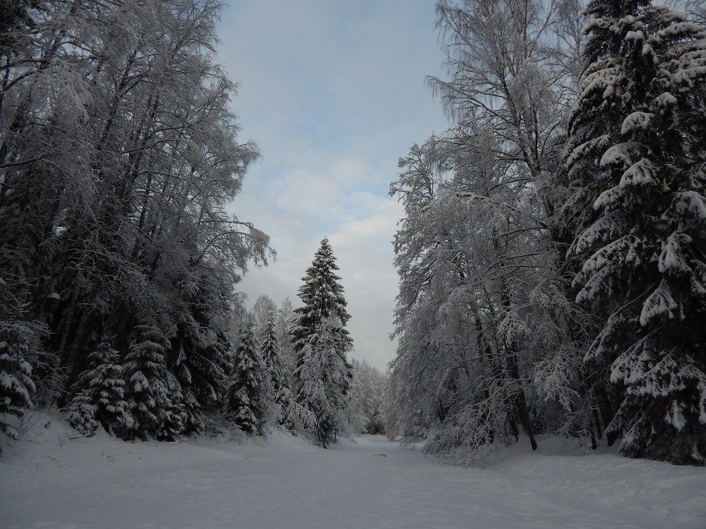 Photograph by Карина Заводчикова