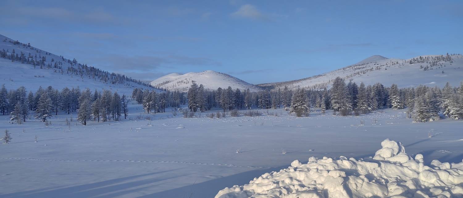 Photo #8503738
