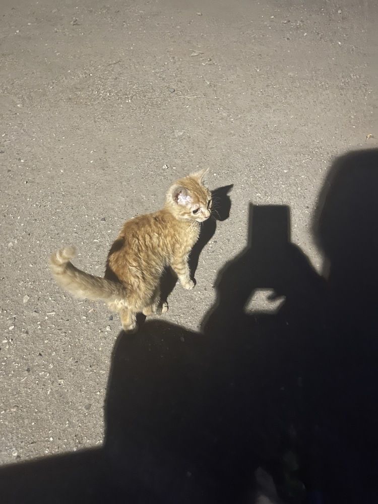 Photograph by Григорий Лыжин