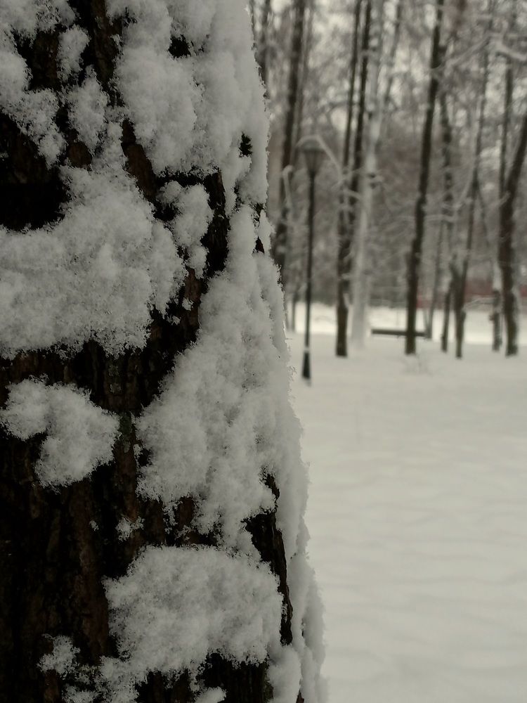 Photograph by Зоя Кулько