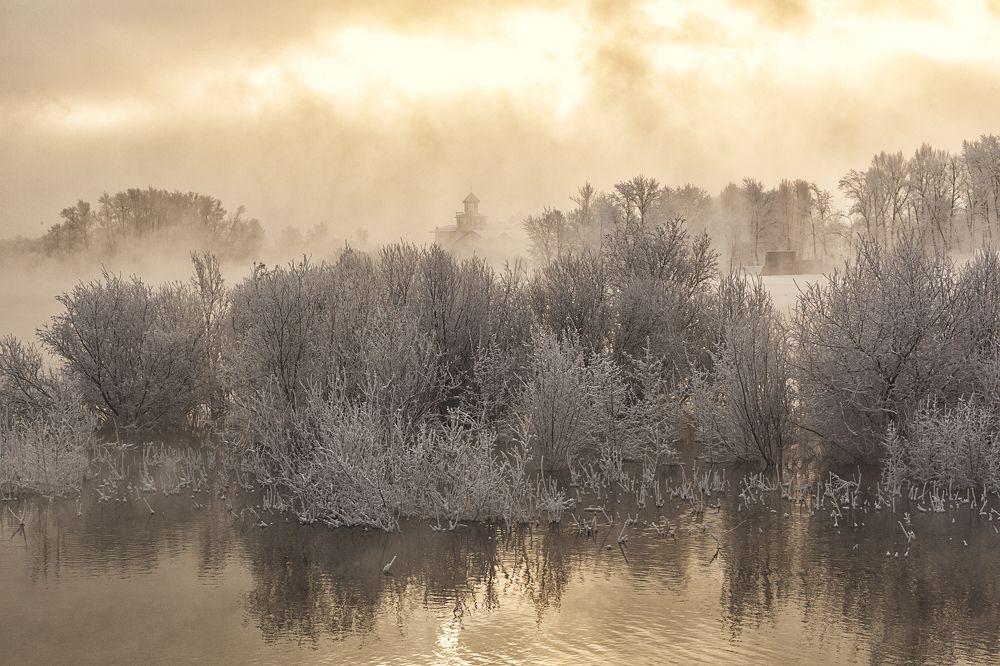Фотография автора Лариса Кисурина