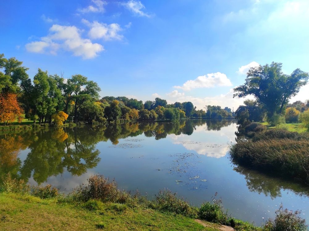 Фотография автора Елена Драко