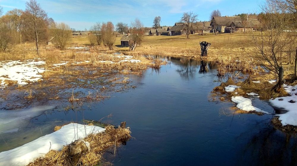 Фотография автора Елена Драко