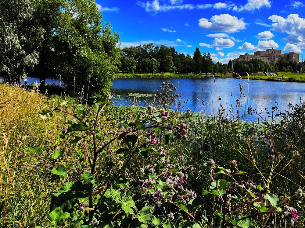 Photograph by Анатолий Протасов