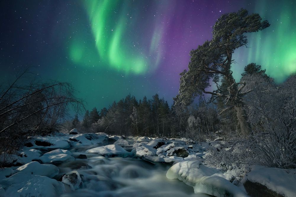 Photograph by Jorma Hevonkoski